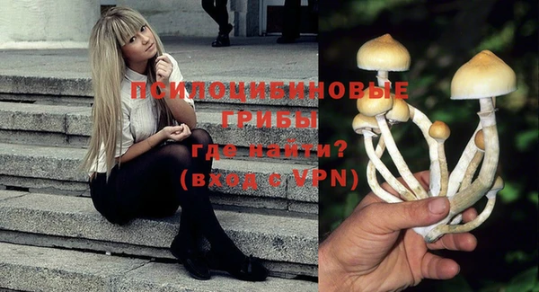 шишки Красноперекопск