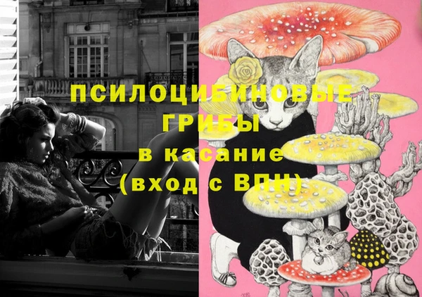 шишки Красноперекопск