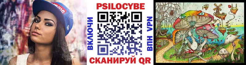 Купить где  Заречный  Псилоцибиновые грибы мицелий 